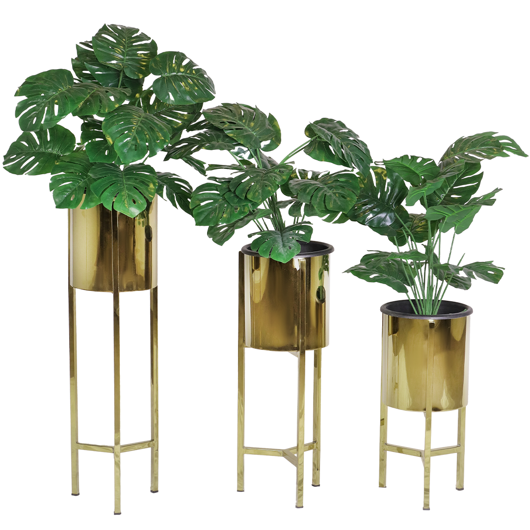 indoor plant stand gold Luxury Plant Stand Set – Elegant Stainless Frames for Pots & Indoor Plants