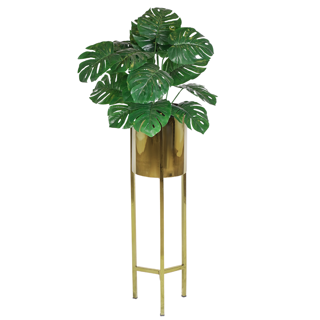 Luxury Plant Stand Set