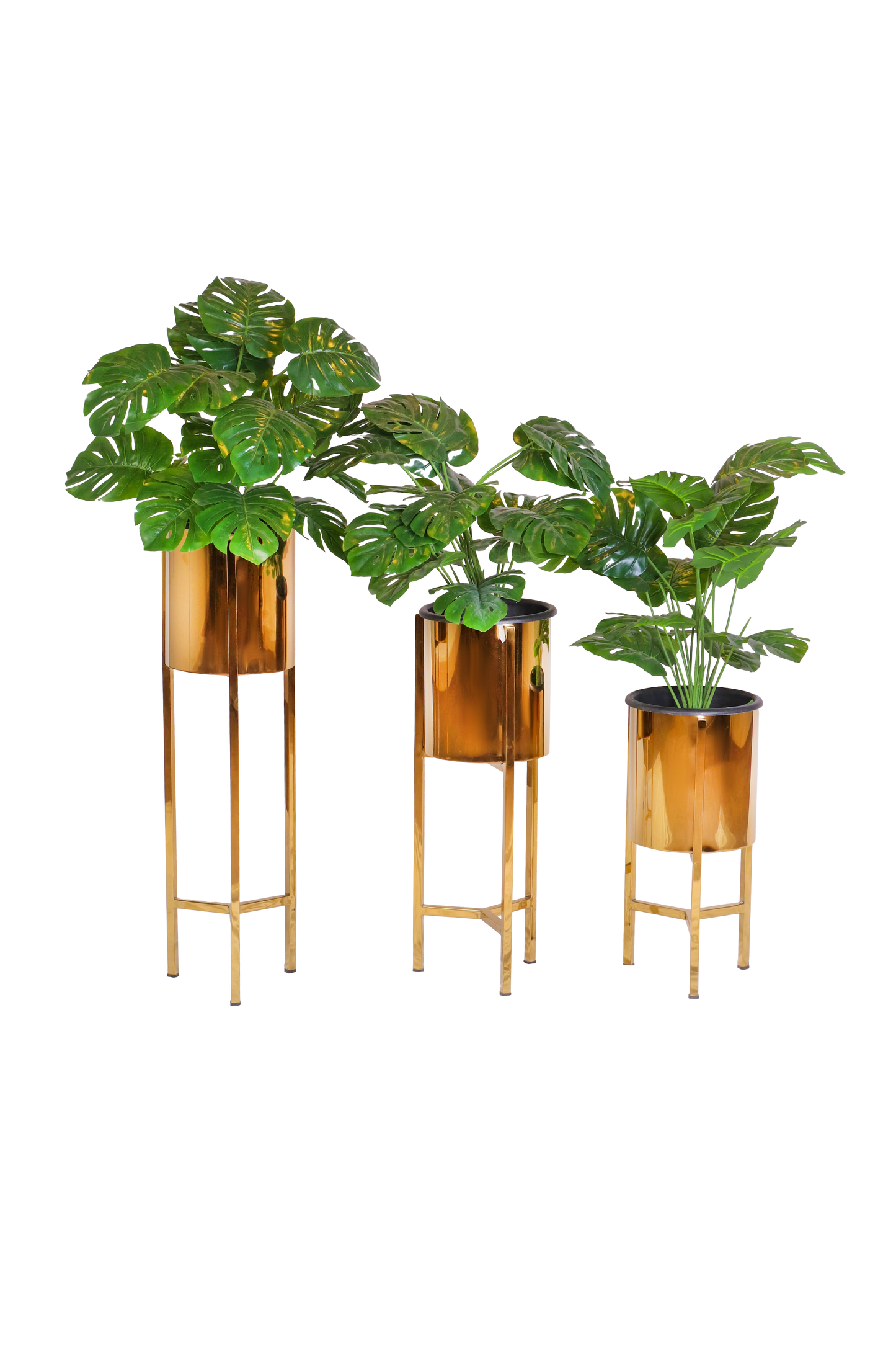 Stainless Steel Plant stand set (3-Pieses)