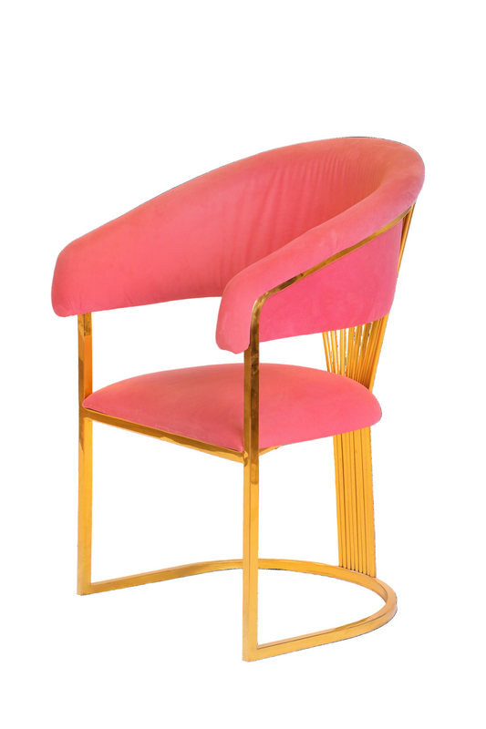 Modern Dining Chair - Comfortable Velvet Seat
