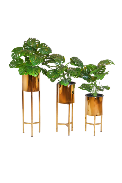 Stainless Steel Plant stand set (3-Pieses)