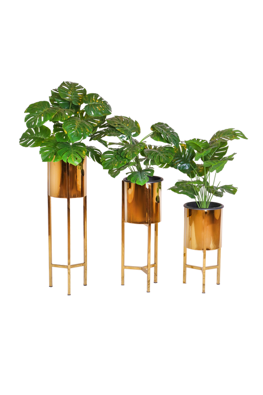 Stainless Steel Plant stand set (3-Pieses)