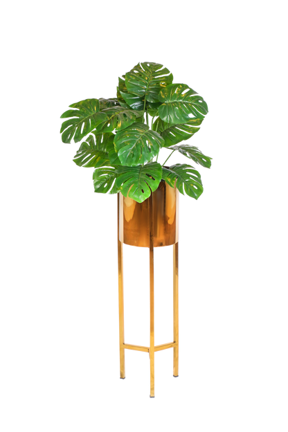 Stainless Steel Plant stand set (3-Pieses)