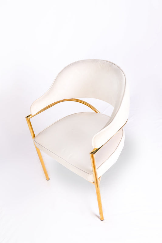 Stainless Steel Dining Chair — Signature Comfort Modern Elegance