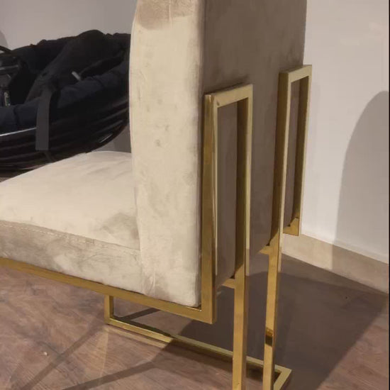 Luxury Sled Chair in Luxury Dining Interior