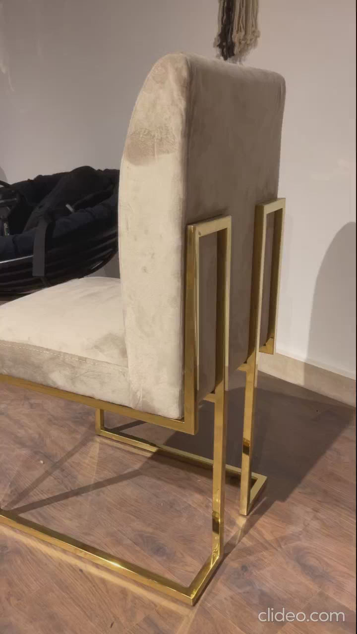 Luxury Sled Chair in Luxury Dining Interior
