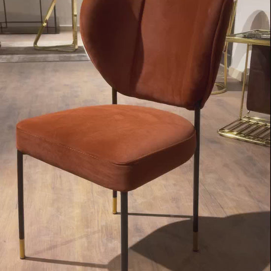 Luxury Petal Chair in Luxury Dining Interior
